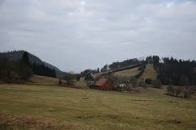 Jeleniec